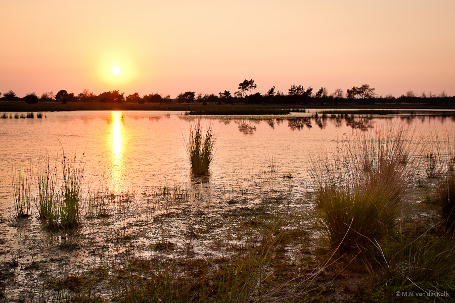 Strabrechtse Heide zonsondergang